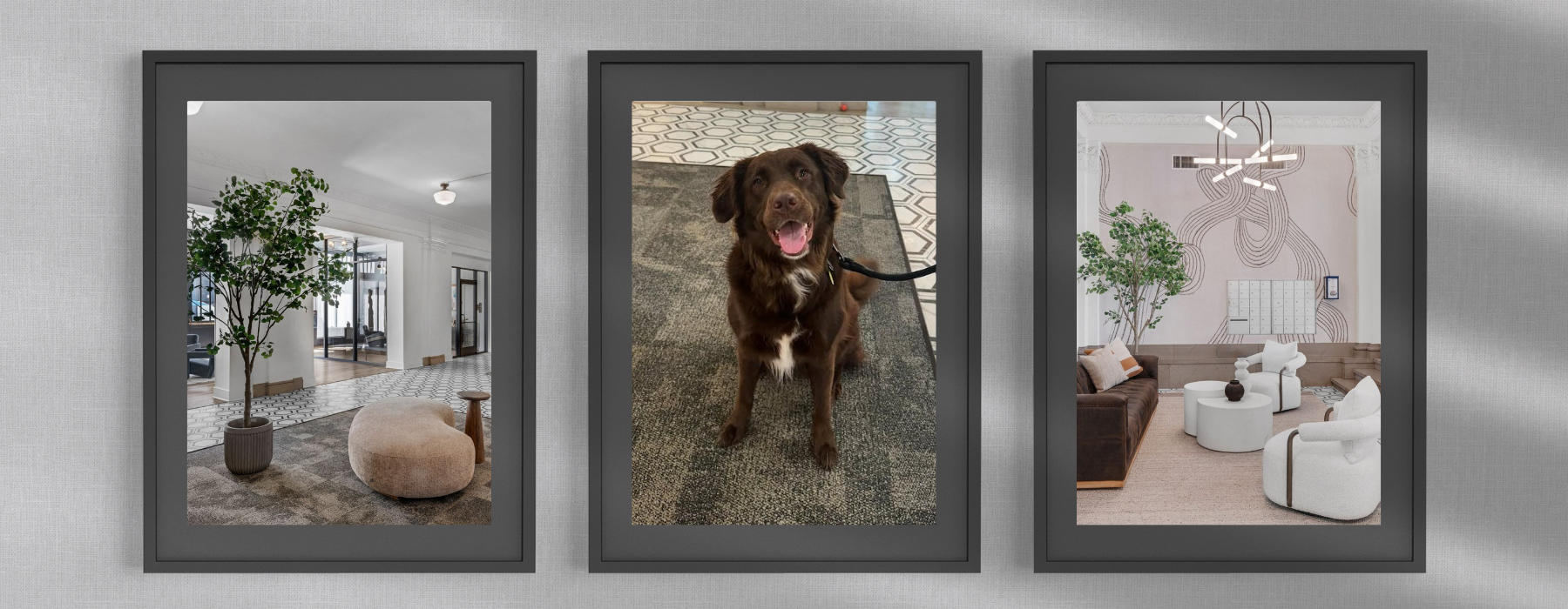 Pet-Friendly Apartments in ATL